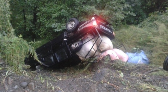 Çay yüklü kamyonet devrildi