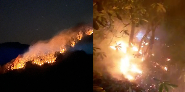 Rize'de çıkan örtü yangını kontrol altına alındı