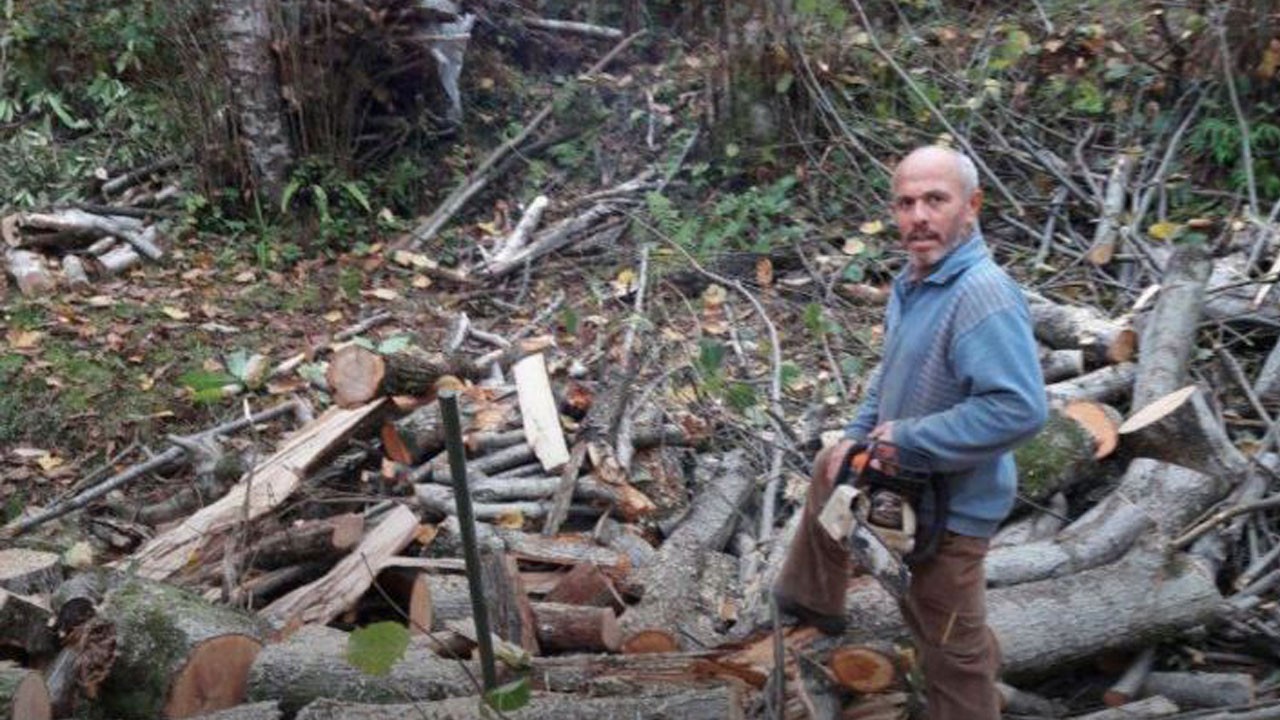 Rize’de dehşet! Kestiği ağacın altında can verdi