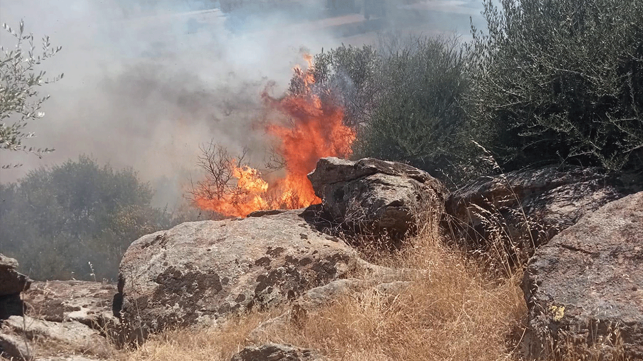 Rize’de geceyi aydınlatan yangın! Dere kenarındaki baraka küle döndü