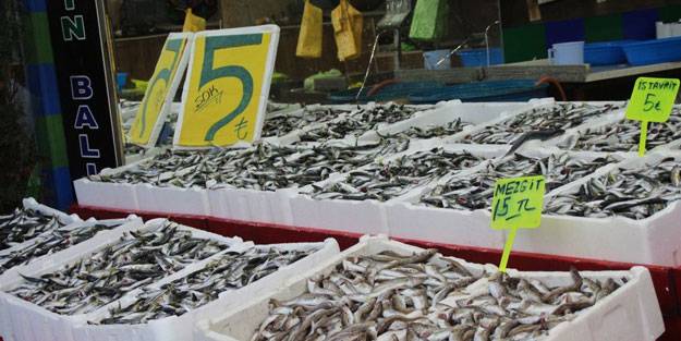 Rize’de kilosu 5 TL'ye düşen istavrit, kasalarla satılıyor