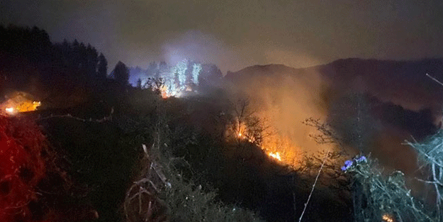 Rize'de orman yangını çıktı