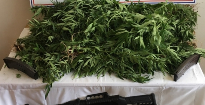 Rize'de uyuşturucu operasyonu!
