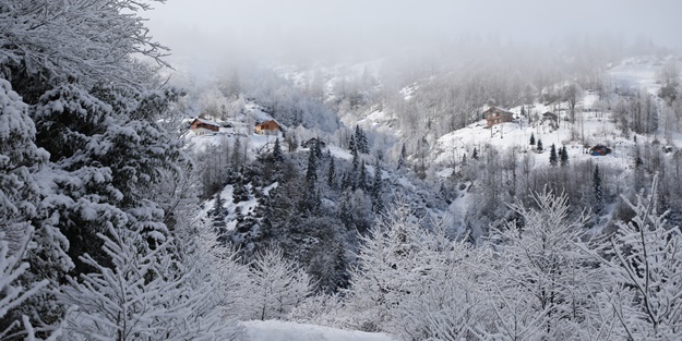 Rize'de yüksek kesimlerde kar yağışı