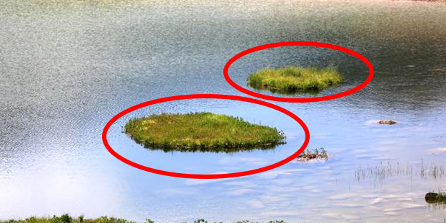 Rize'de yüzer adalar yaylacılar için hayati önem taşıyor