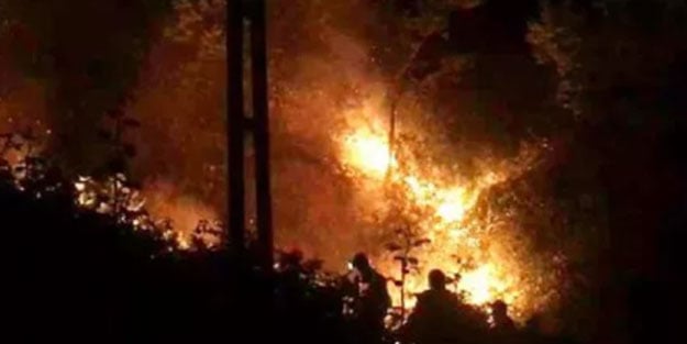Rize'deki yangın büyüyor! Müdahale edilemiyor
