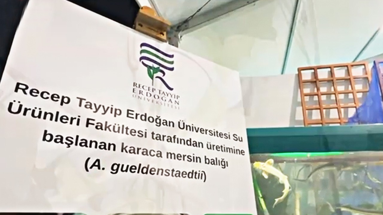 Rize’den Dünyaya “Paha Biçilemez Mavi”: Doğaya ve Biyoçeşitliliğe Sanatsal Dokunuş