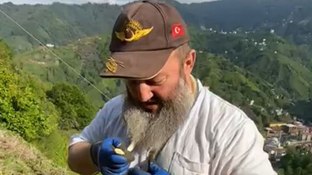 Rize'den şaşırtan görüntüler! Korkusuz çiftçi yılanı boynuna doladı