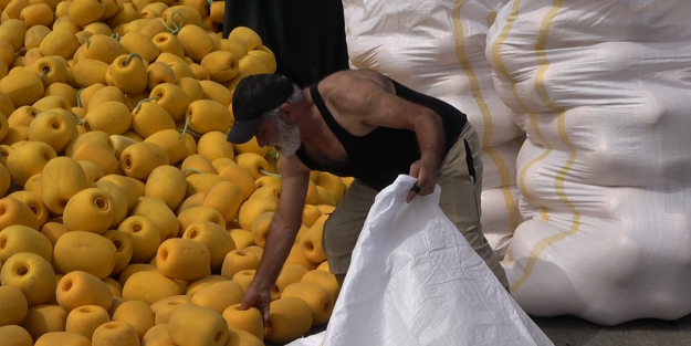 Rizeli balıkçılar ağlarının ve teknelerinin bakımlarını yapmayı sürdürüyor