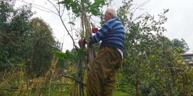 Rizeli çiftçi imkansızı başardı