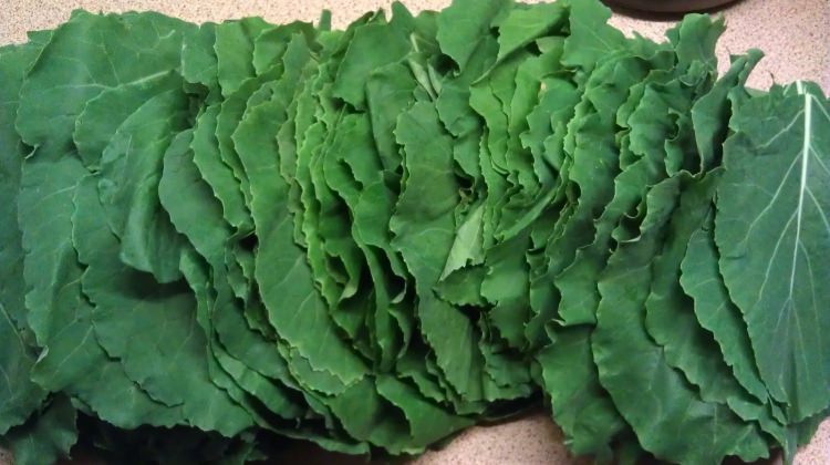 Rizeliler buna bayılıyor!