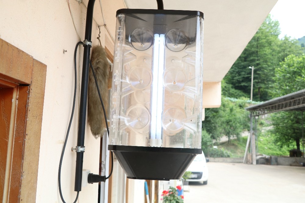 Rizeliler Vampir Kelebek ile mücadeleye hazırlanıyor 