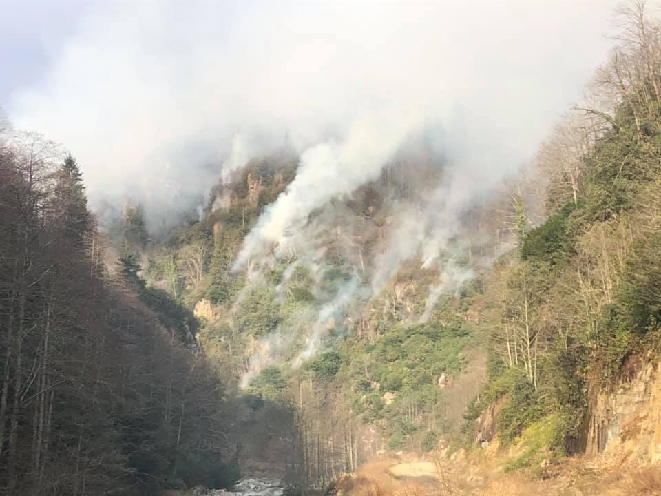 Rize’nin Ardeşen ilçesindeki örtü yangını 3 gündür aralıksız devam ediyor 