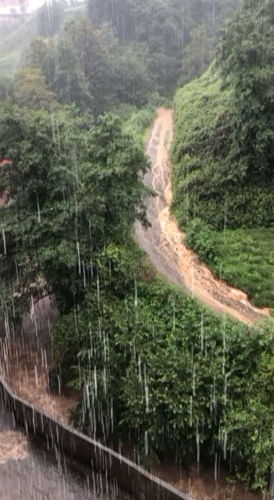 Rize’nin Derepazarı ilçesinde etkili olan yağış hayatı olumsuz etkiledi 