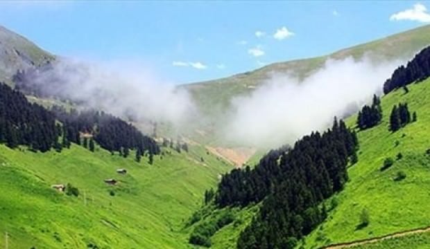 Rize'nin yaylasında kaybolan 6 kişi aranıyor