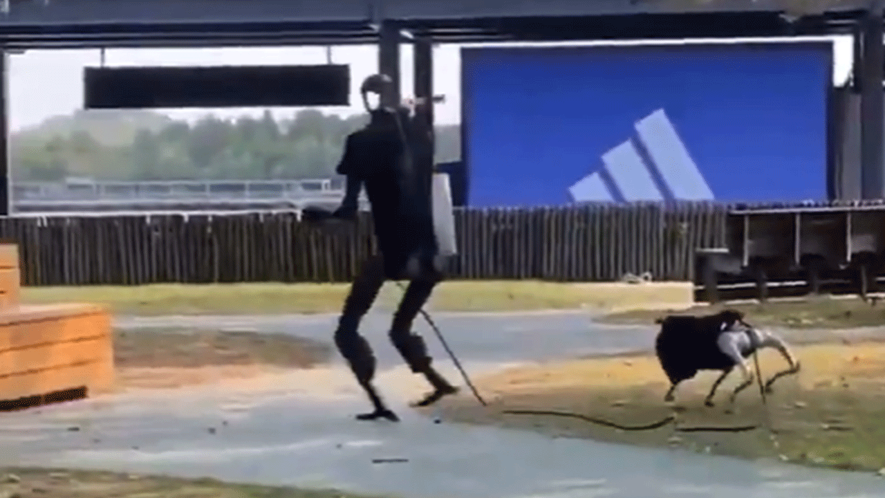 Robot köpeğini yürüyüşe çıkaran robotu görenler şaşkına döndü!