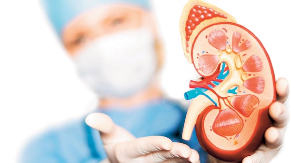 Robotik böbrek nakli nasıl yapılır?