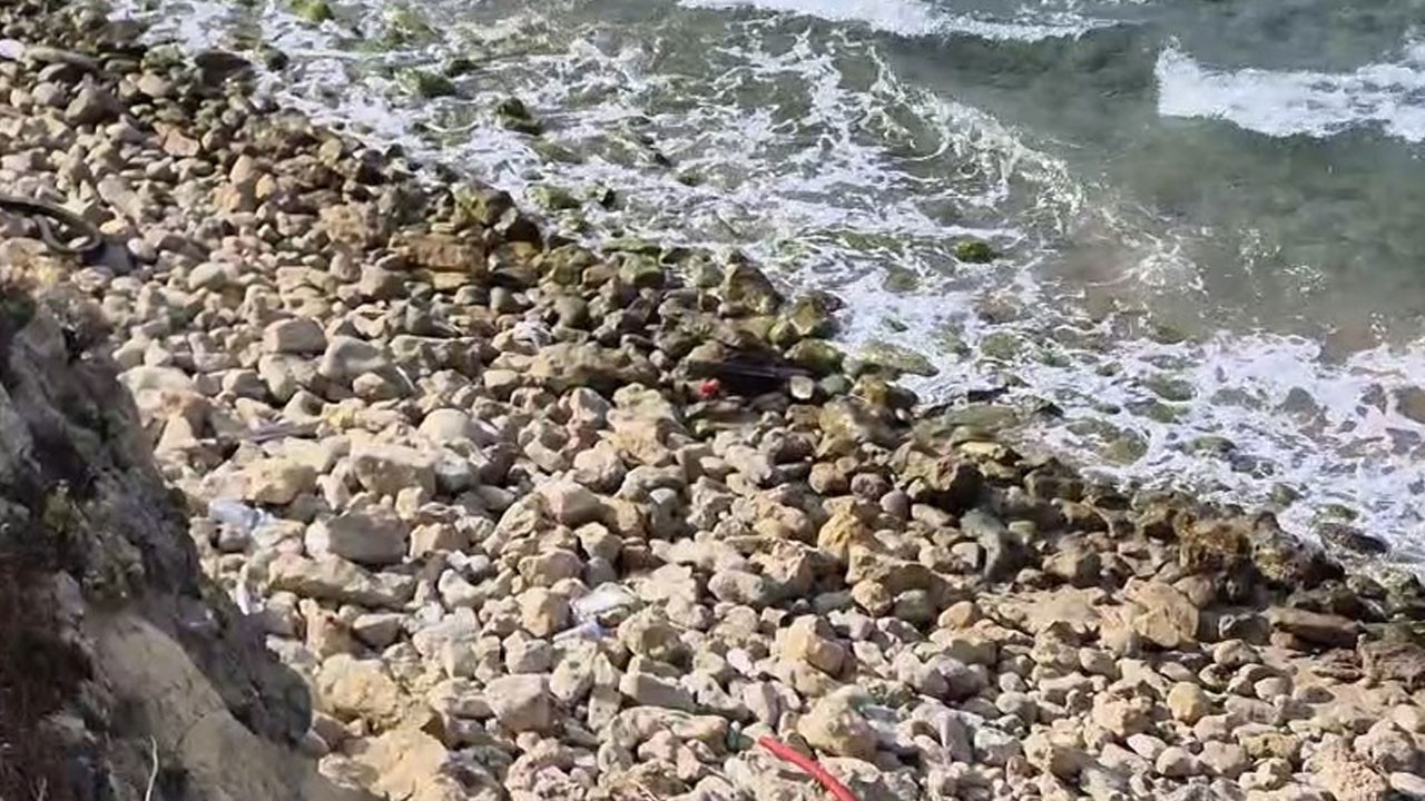 Roket başlığı zannedildi! Şile’de sahile vuran cisim imha edildi