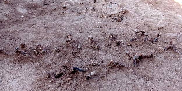 Roma döneminden kalma kapı çivileri bulundu