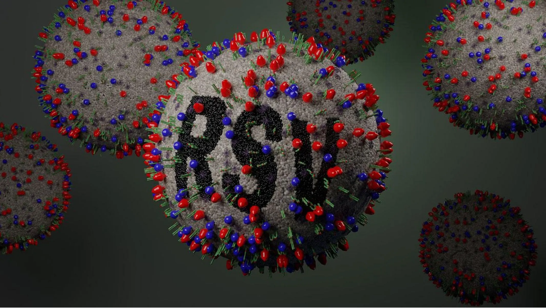 RSV enfeksiyonu bağışıklığı düşürüp covide yakalanma riskini artırıyor