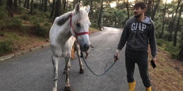 Ruam hastalığı nedir? İnsana nasıl bulaşır?