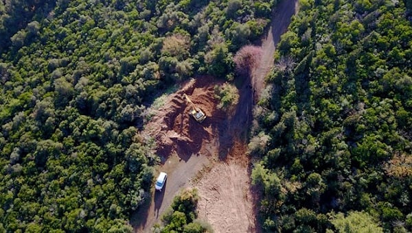 Ruam hastalığı nedir? Ruam hastalığı insanlarda görülür mü?