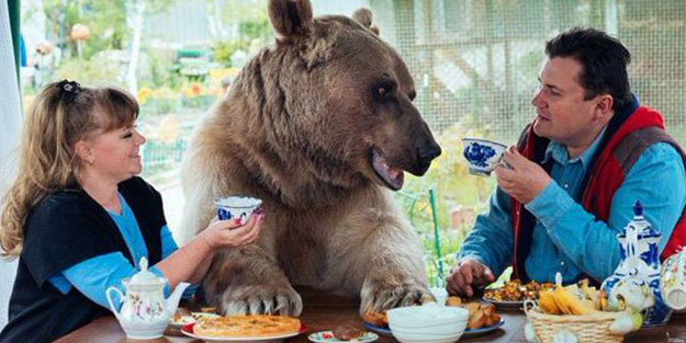 Rus aile bir ayıyla yaşıyor