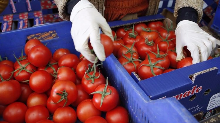 Rus ajansı: Hepsini imha ettik