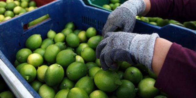 Rusya'dan Türkiye ile ilgili yeni karar!