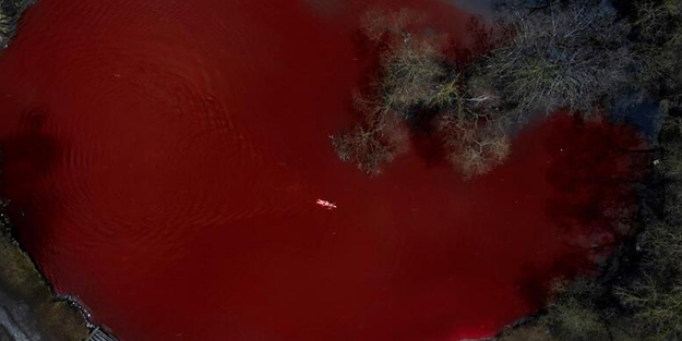 Rus Konsolosluğu önünde ilginç protesto! 'Kan gölü'nde yüzdüler: Putin Lahey seni bekliyor