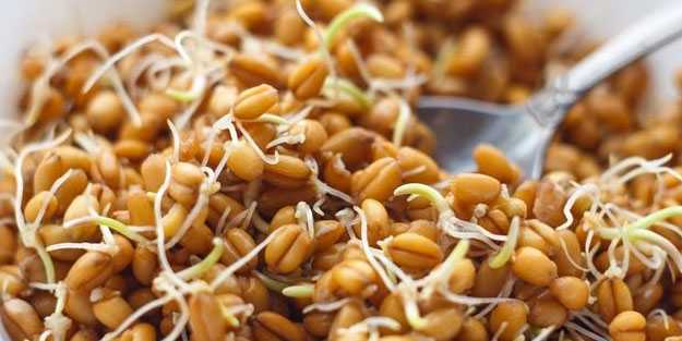 Ruşeym nedir? Ruşeymin şaşırtan faydaları