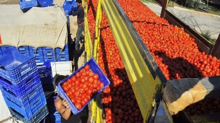 Ruslar, Türkiye'den geldiğini öğrenince imha ettiler!