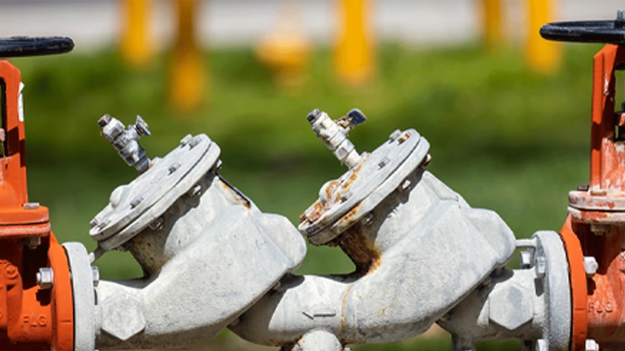 Rusya 150 milyar dolarlık enerji dışı ihracat hedefliyor! Hedef şaşırtıyor