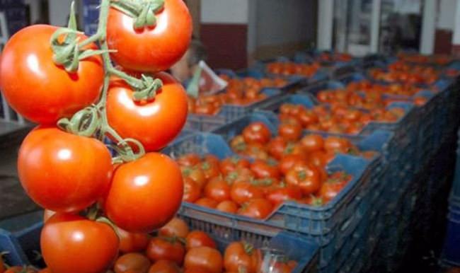 Rusya 3 ton Türk domatesi imha etti