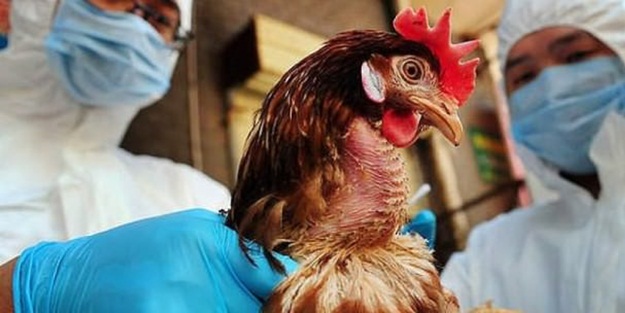 Rusya'dan müjde! Artık yasak değil