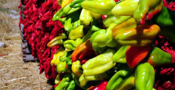 Rusya biber ve nar alımını da durduruyor