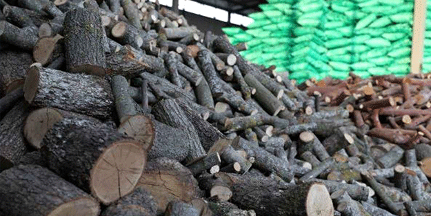 Rusya gazı kestikçe Avrupa panikliyor! Şimdi de devletten odun yardımı ama kuponla