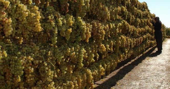 Rusya ile iyileşme çiftçinin umudunu yükseltti