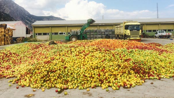 Rusya ile yapılan anlaşmalar elma üreticisini sevindirdi
