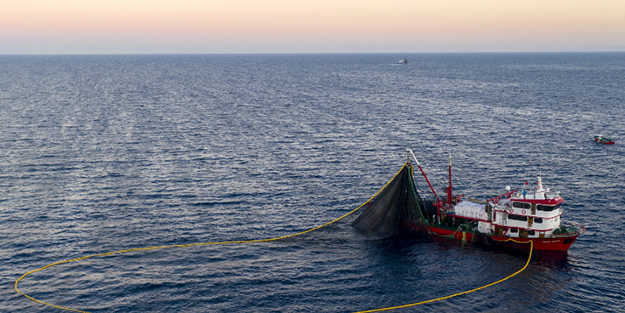 Rusya, İngiltere ve İtalya, Türkiye'den çılgınlar gibi satın almaya başladı! Rakam 1,5 milyar doları geçti