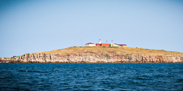 Rusya oradan çekildi