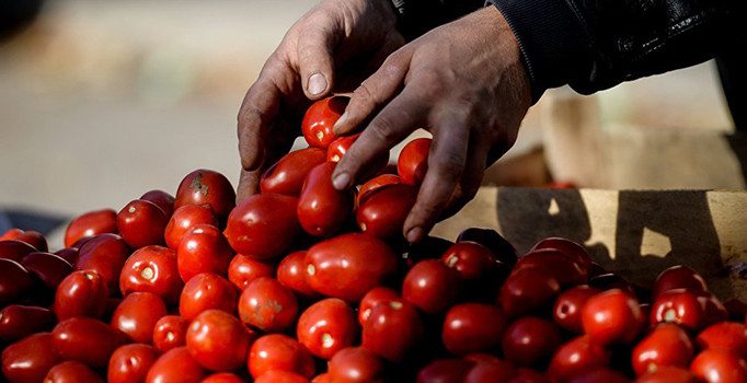 Rusya: Tarımda anlaşmazlık yaşamıyoruz