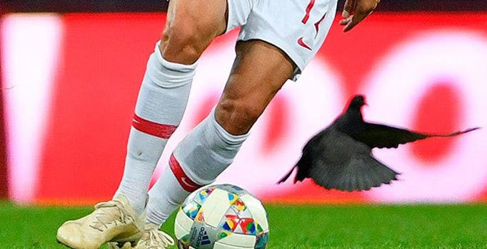 Rusya - Türkiye maçındaki güvercinlerin sırrı anlaşıldı