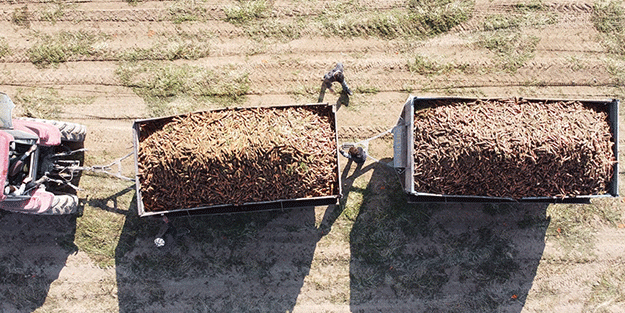 Rusya Türkiye'den acil olarak o iki ürünü istiyor!