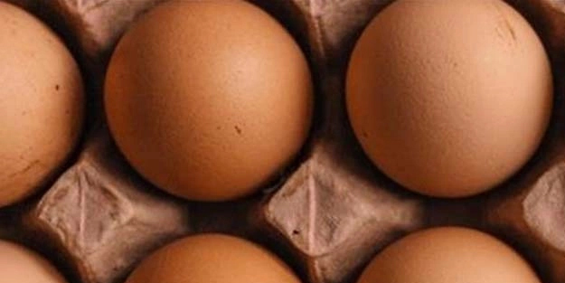 Rusya, Türkiye'den almaya başladı: Türkiye, Rusya'ya yumurta gönderecek! Türkiye'ye mesajı