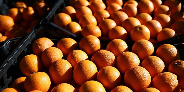 Rusya, Türkiye'den gelen 153 ton mandalina ve 106 ton portakalı ülkeye sokmadı! Sebebi tüm Türkiye'yi tedirgin etti