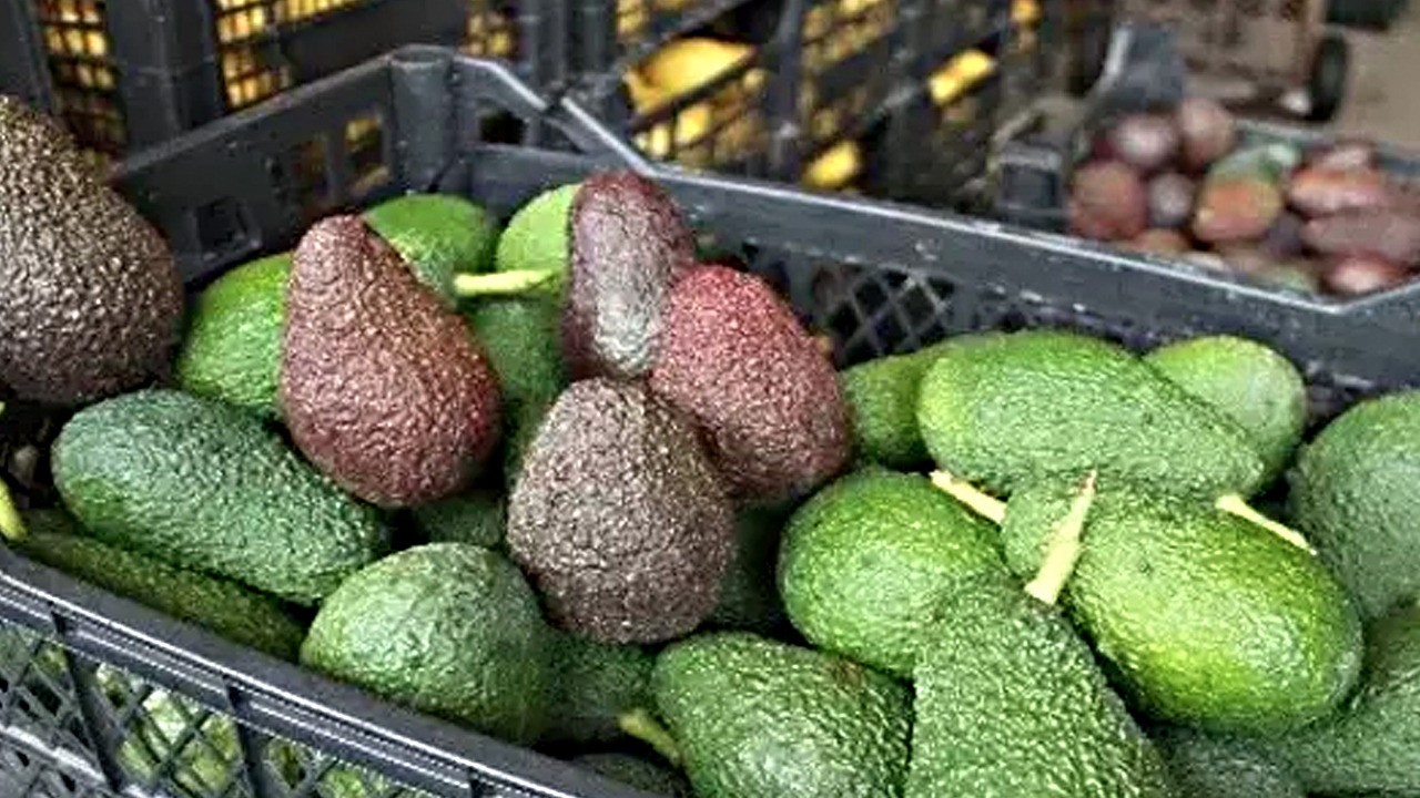 Rusya Türkiye'nin kapısını çaldı: Rusya'da talepler patladı, üreticiler siparişlere yetişemiyor