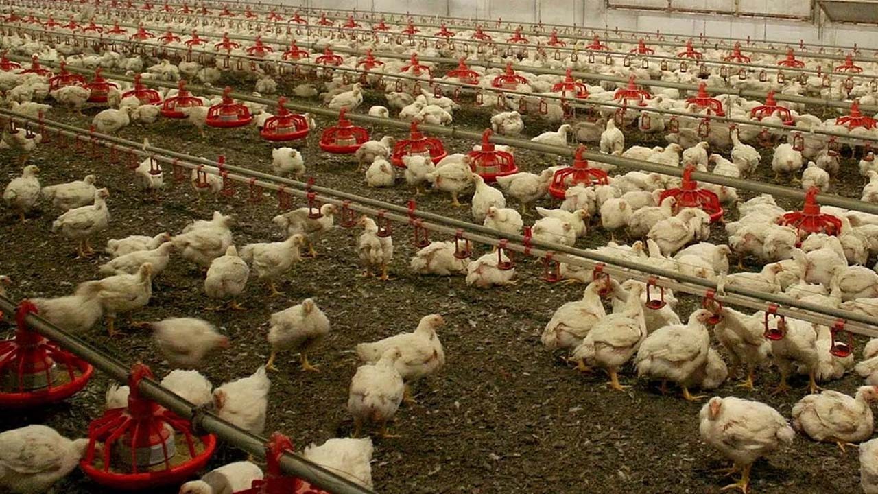 Rusya'dan Türkiye'deki o ürünlere kısıtlama getirdi! Bakın sebebi neymiş!