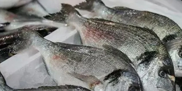 Rusya ülkesinden: Hazır balık ve deniz ürünleri ithalatını yasak geldi! Avrupa Birliği (AB), ABD ve Norveç