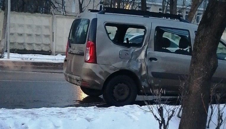 Rusya’da at ile otomobil çarpıştı 